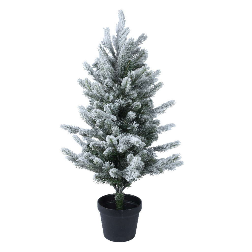 Pre-potted snowy Allison mini tree (75cmH)