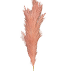 Faux pampas stem
