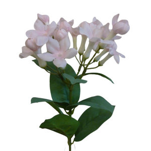 Pink Stephanotis Spray