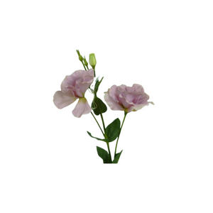 Eustoma Spray - Pink