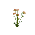 62cm Mum spray - pink