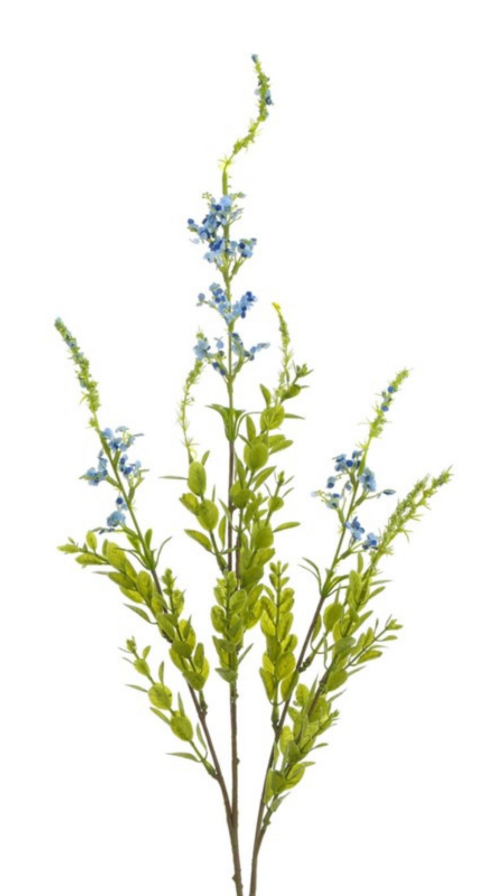 Larkspur Blue Spray