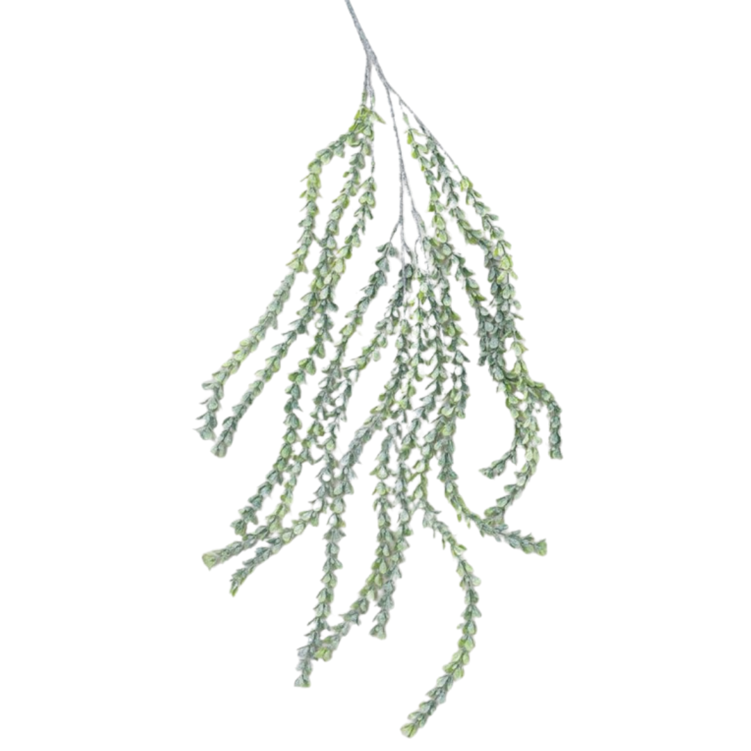 Frosted Green Coin Leaf Hanging Spray