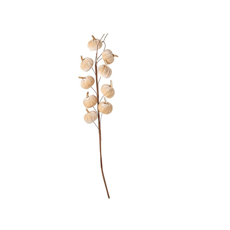 Cream velvet pumpkin stem