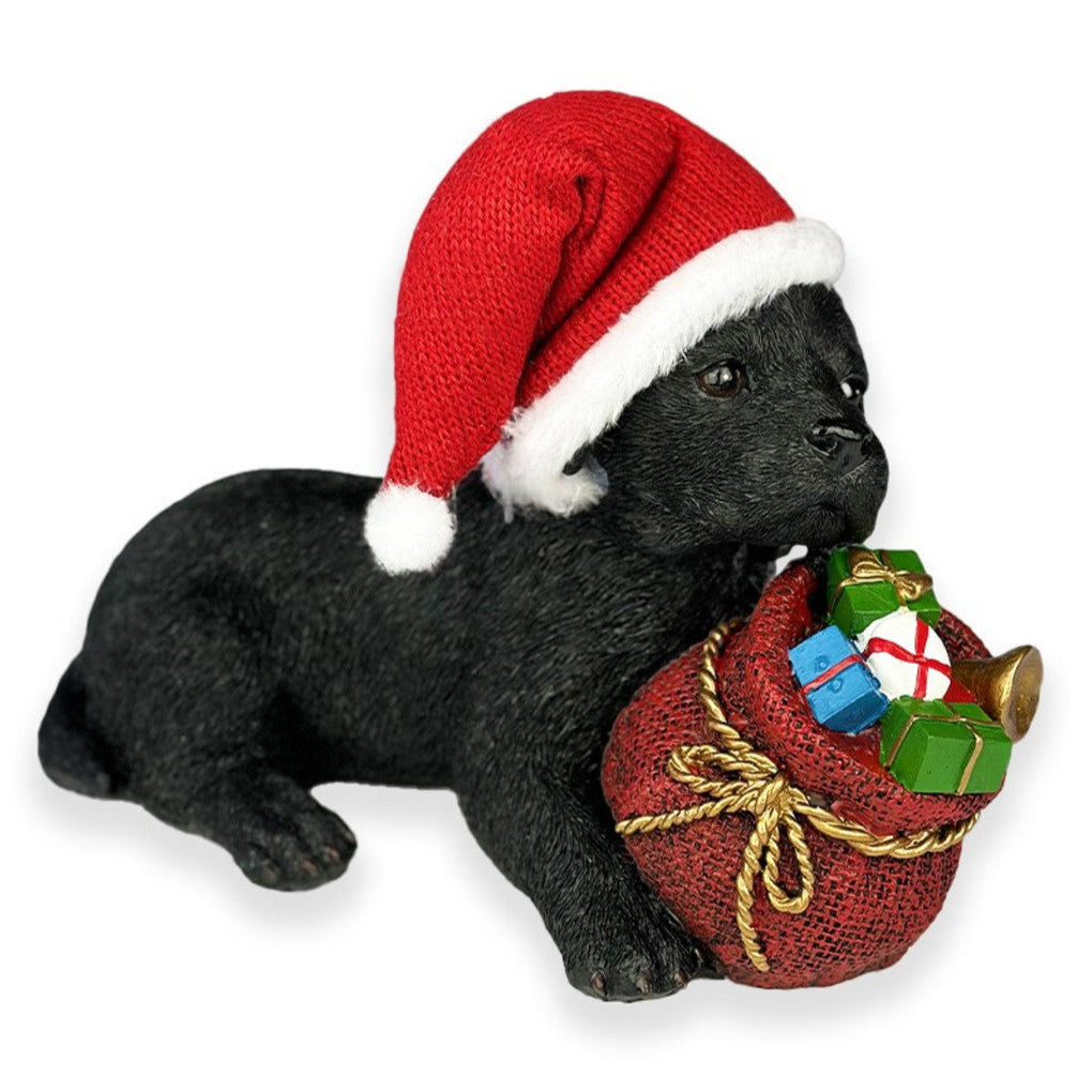 Lying Dog wearing Santa Hat with Presents