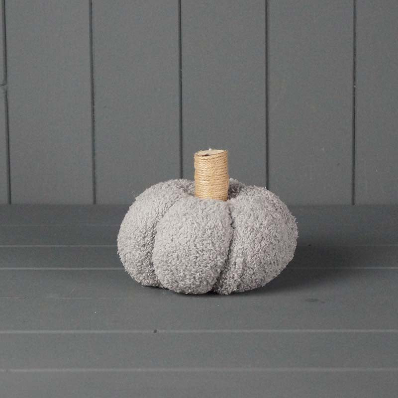 Small light grey squat pumpkin