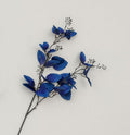 Eucalyptus spray blue