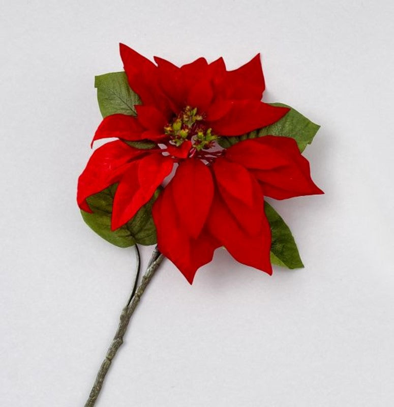 Red velvet Christmas poinsettia stem