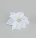 White poinsettia flower clip