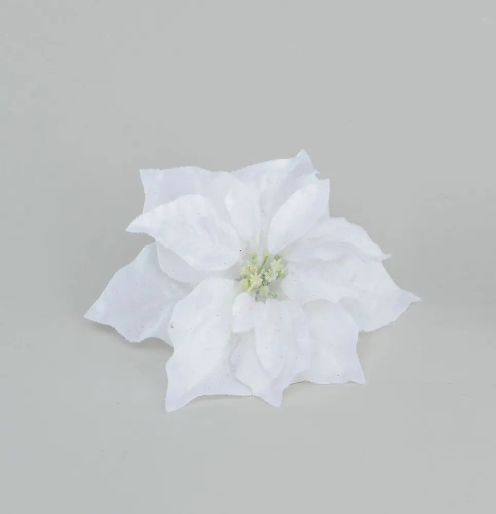 White poinsettia flower clip