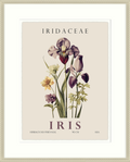 Iris by Christopher Glampleto