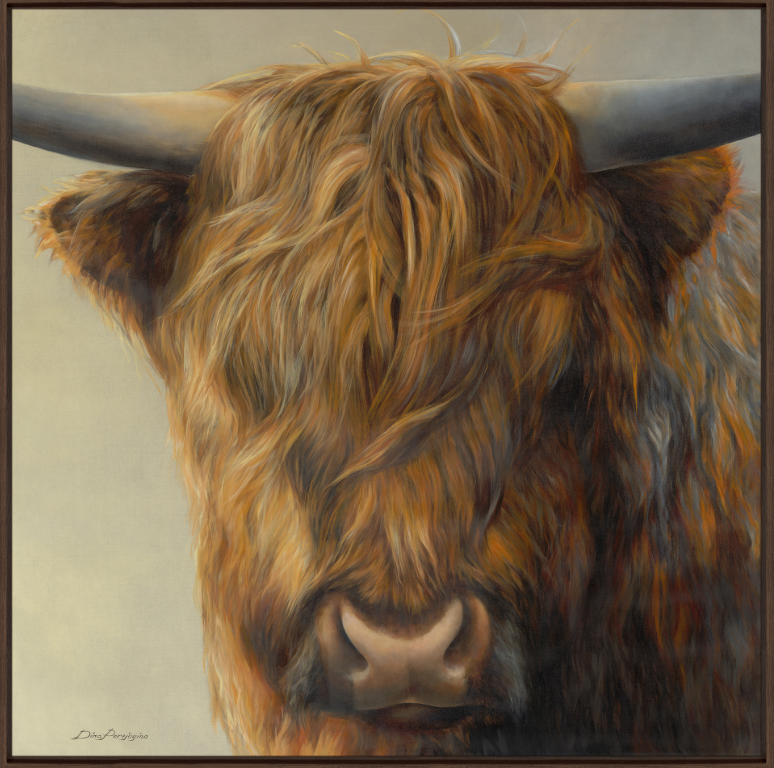 Highland coo by Dina Perejogina