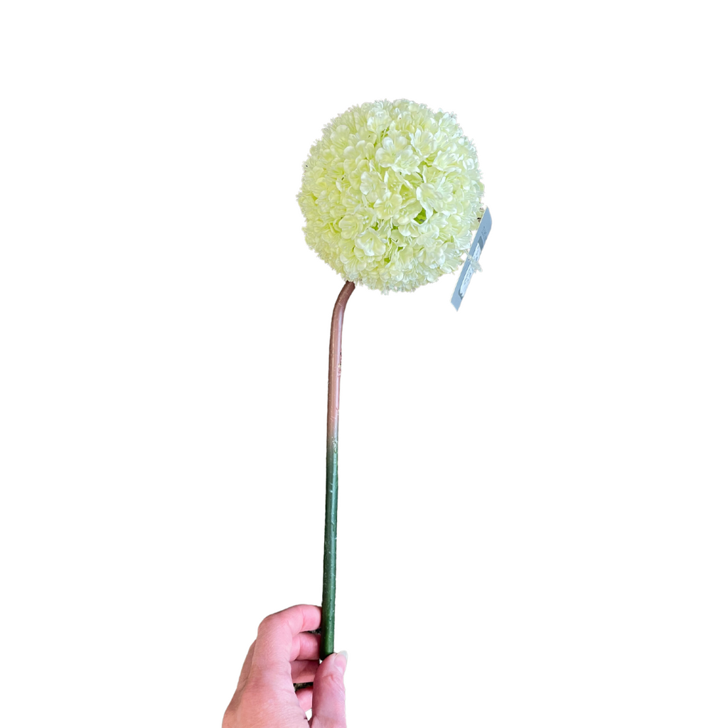 Cream allium stem