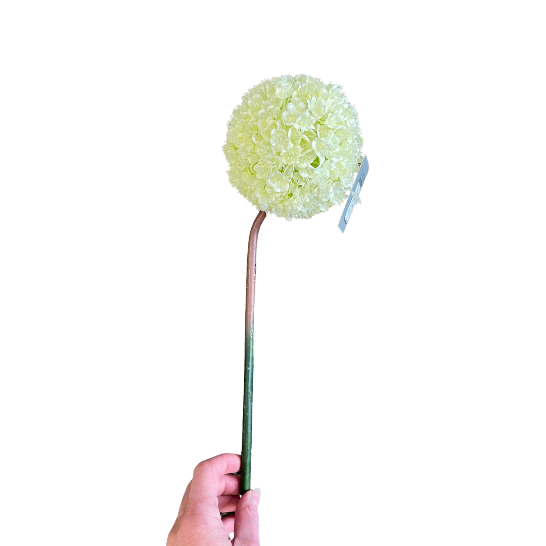 Cream allium stem