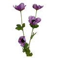 Anemone - pink