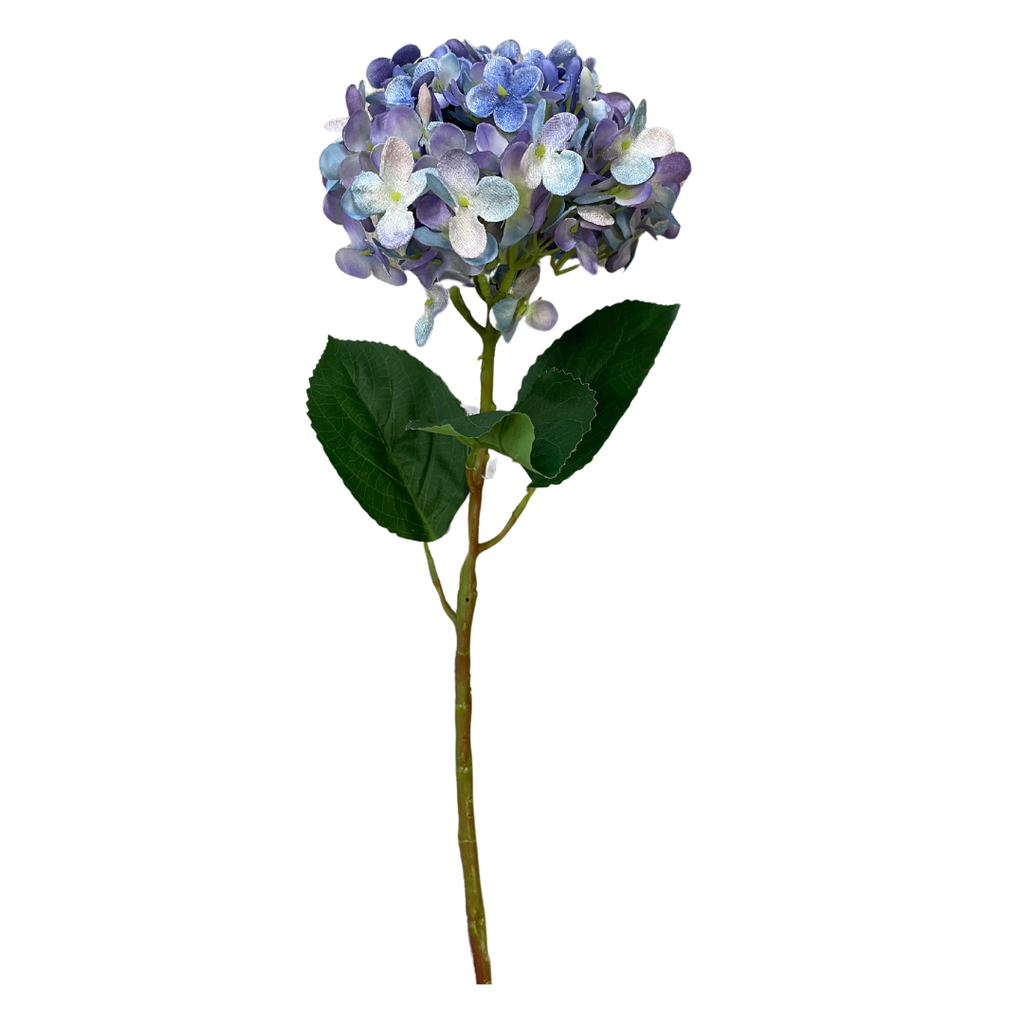 Blue hydrangea stem