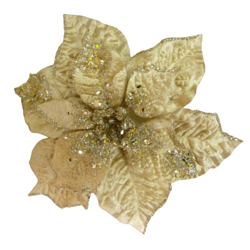 Champagne gold velvet poinsettia flower clip