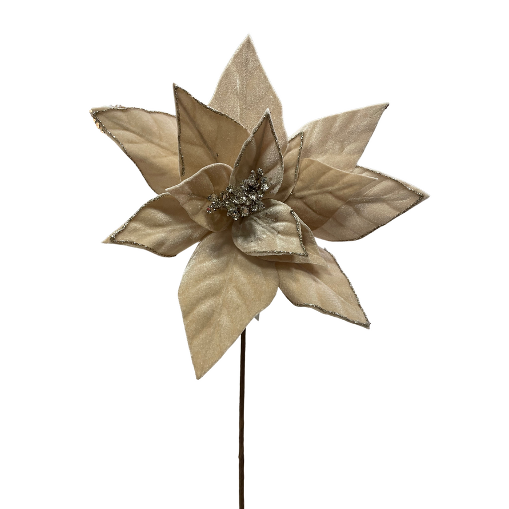 Champagne velvet poinsettia stem