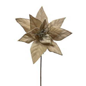 Champagne velvet poinsettia stem