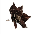 Chocolate velvet clip on poinsettia (20cm)