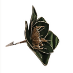 Dark green velvet clip on poinsettia