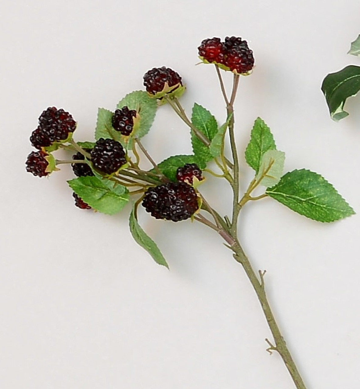 40cm Raspberry Spray Black