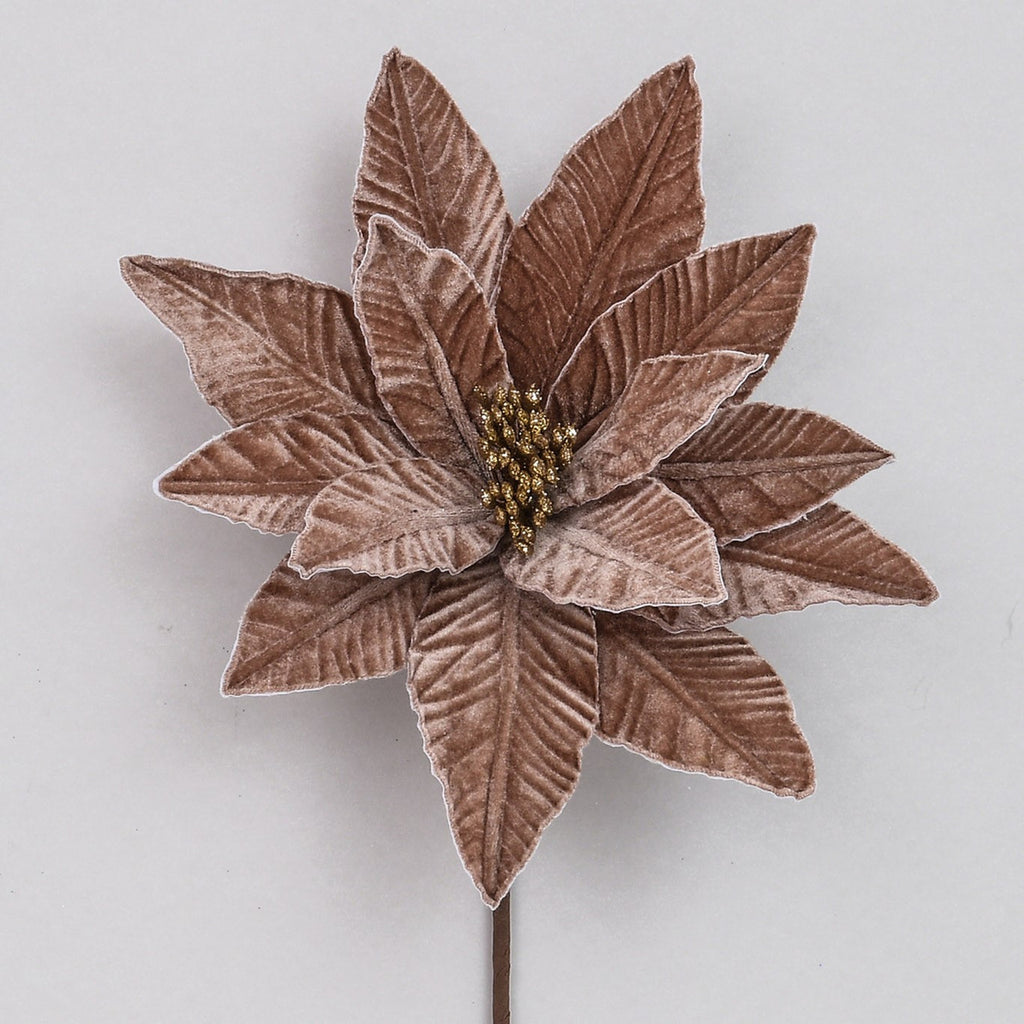 56cm Velvet Poinsettia Brown