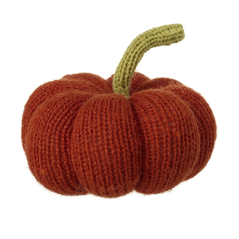 Large burnt orange pumpkin/squash