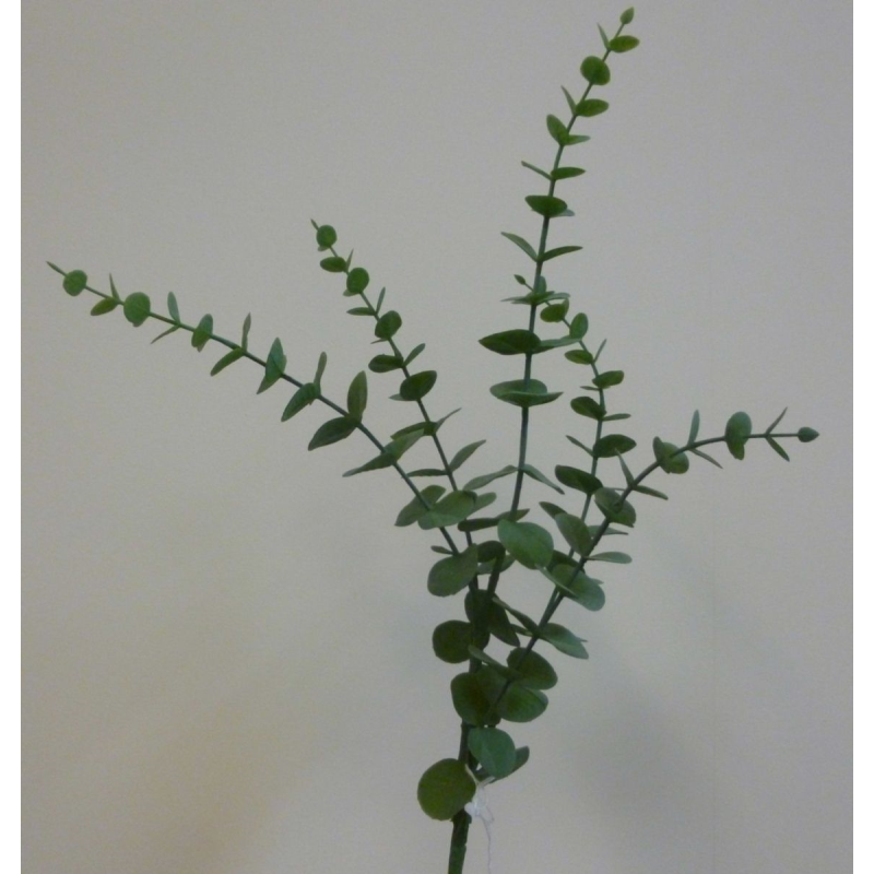 Jade eucalyptus stem green