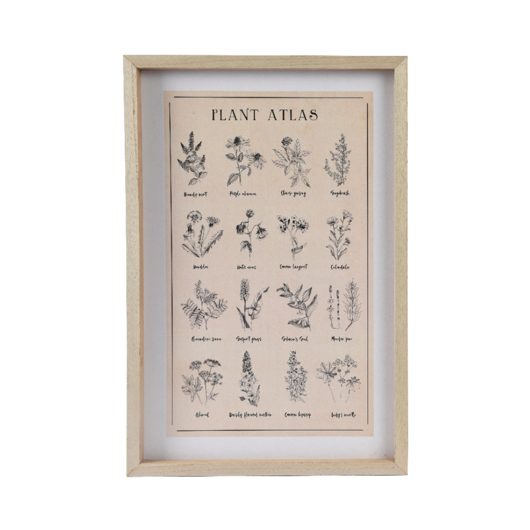 Framed plant atlas (2 Styles)