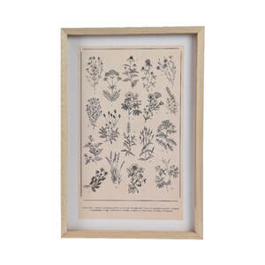 Framed plant atlas (2 Styles)