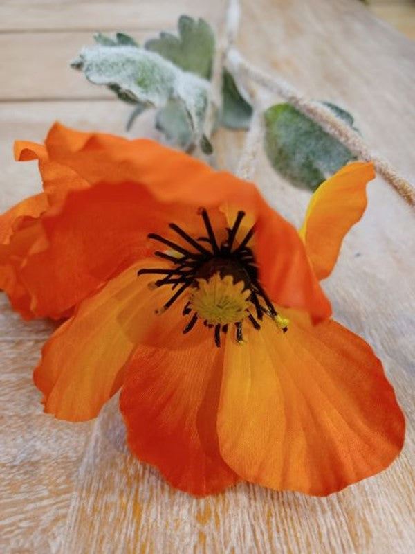 Orange Poppy Spray