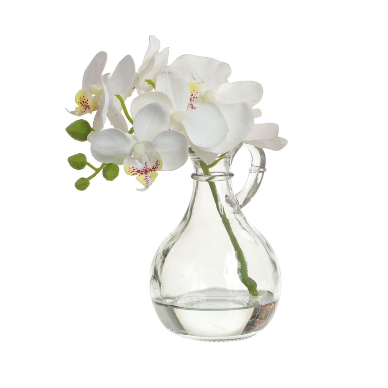 Short orchid stem in glass jug vase