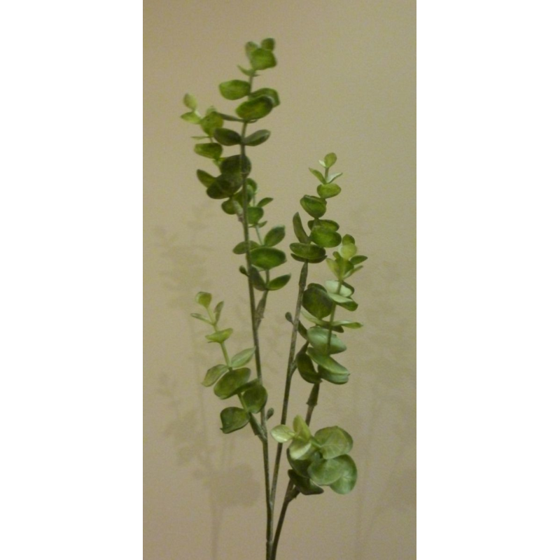 Small eucalyptus stem