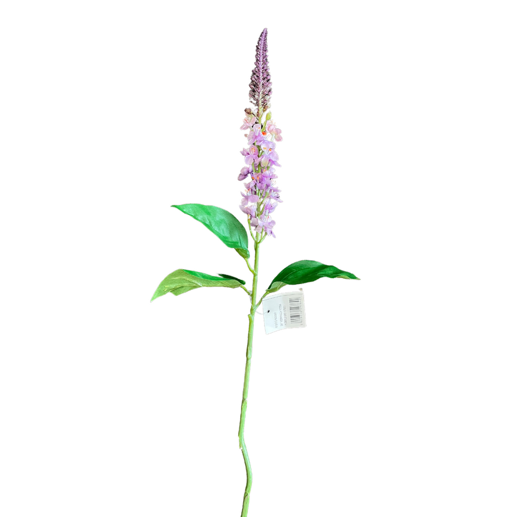 Purple veronica stem