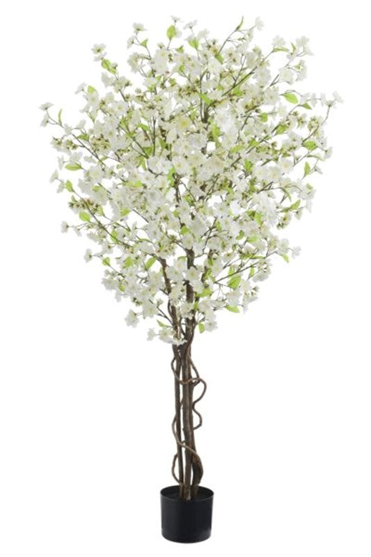 Cream cherry blossom tree (150cm)