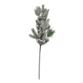 Snowy spruce spray with pine cone & berries