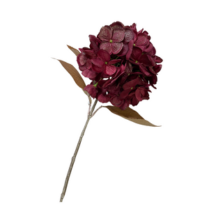 Burgundy glitter hydrangea stem