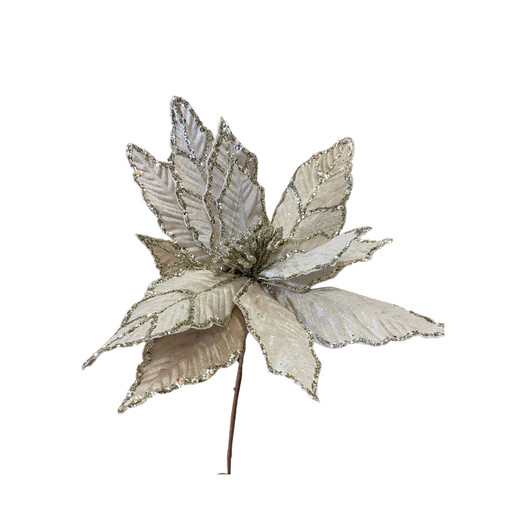 Champagne gold velvet poinsettia stem
