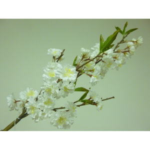 Cherry blossom stem (white)