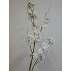 Tall Cherry blossom stem (peachy pink)
