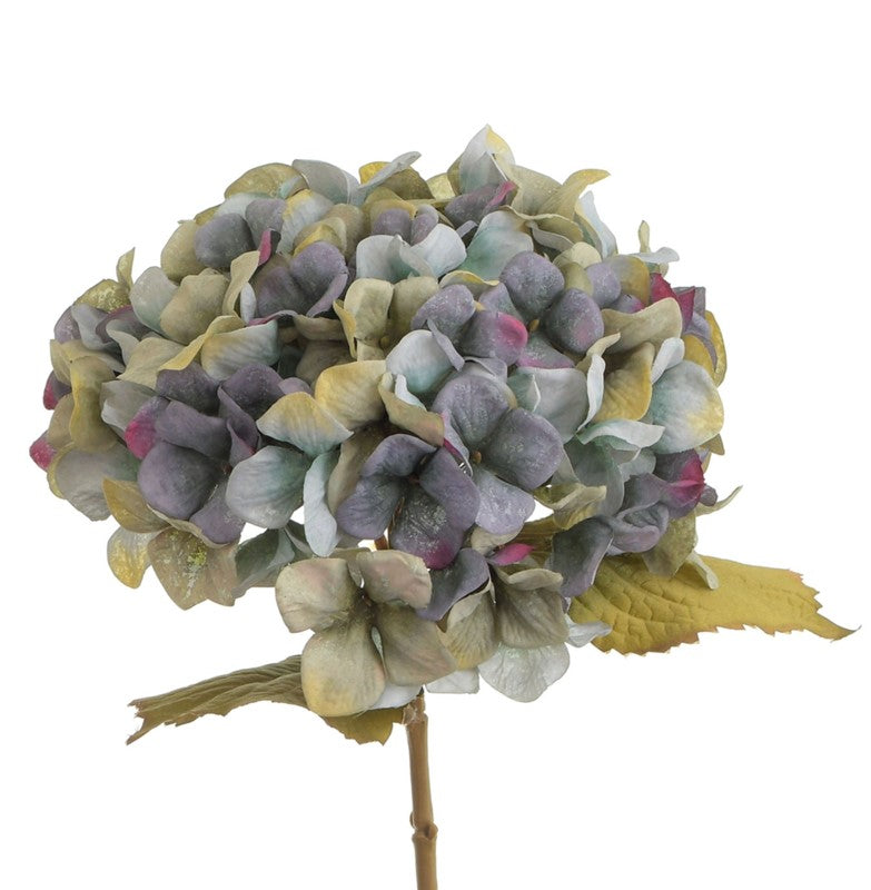 Antique blue hydrangea stem