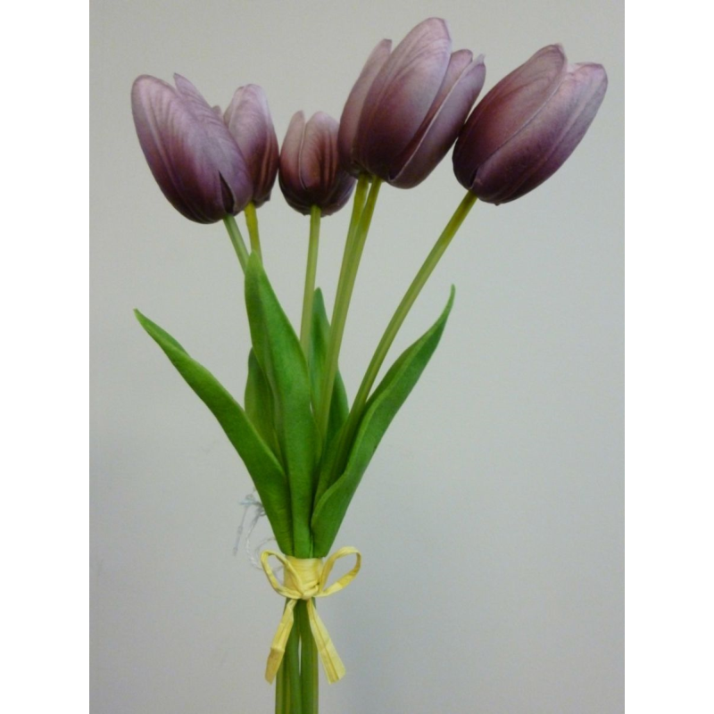 Purple tulip bundle