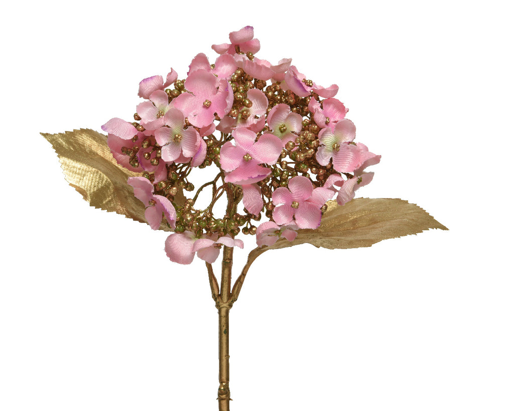 Christmas hydrangea in blush pink
