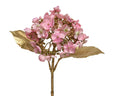 Christmas hydrangea in blush pink