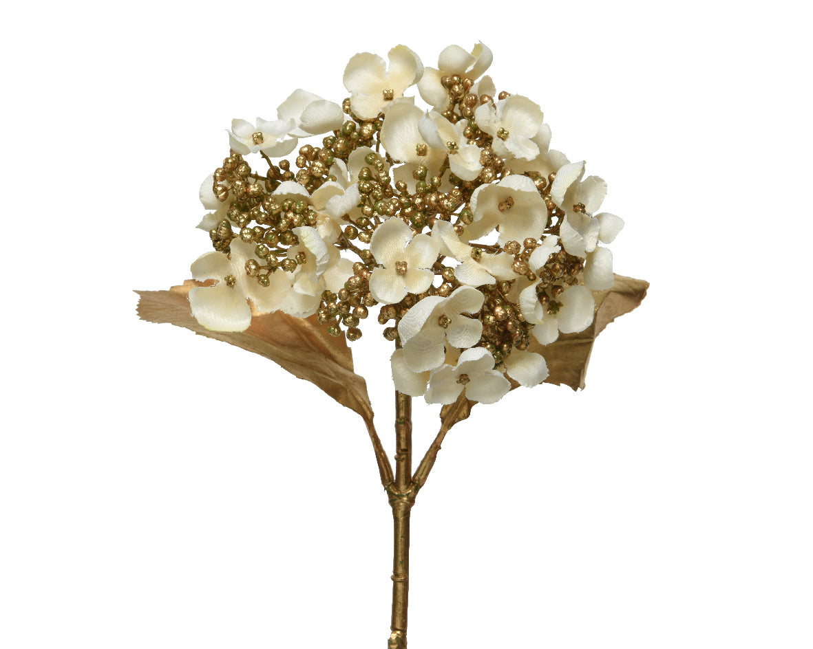 Christmas hydrangea in cream