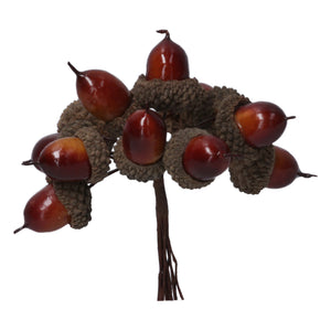 Glossy acorn pick