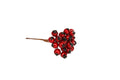 Red Holly Berry bunch