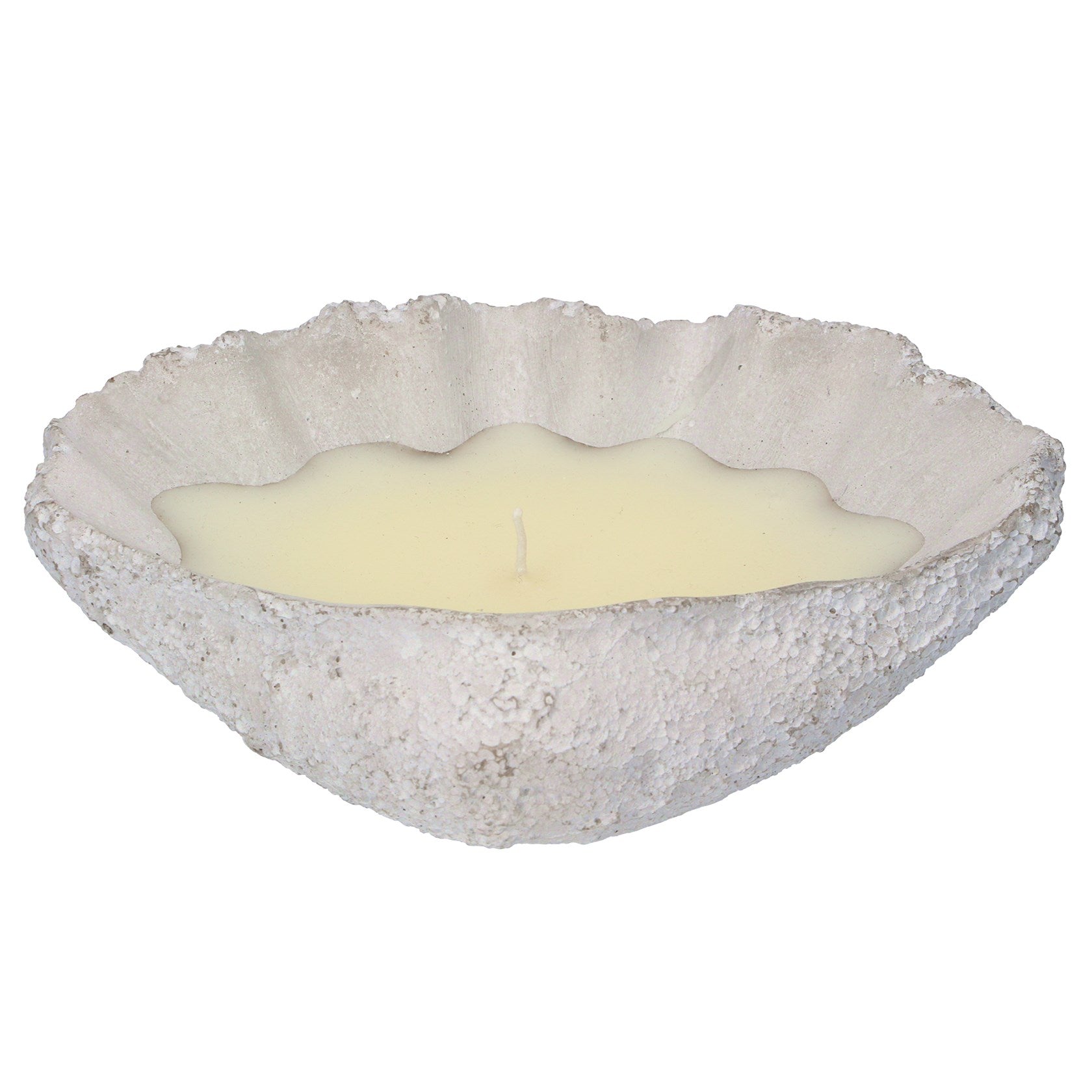 Citronella concrete shell candle (Large)