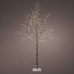 Micro LED light-up winter tree (180cmH)